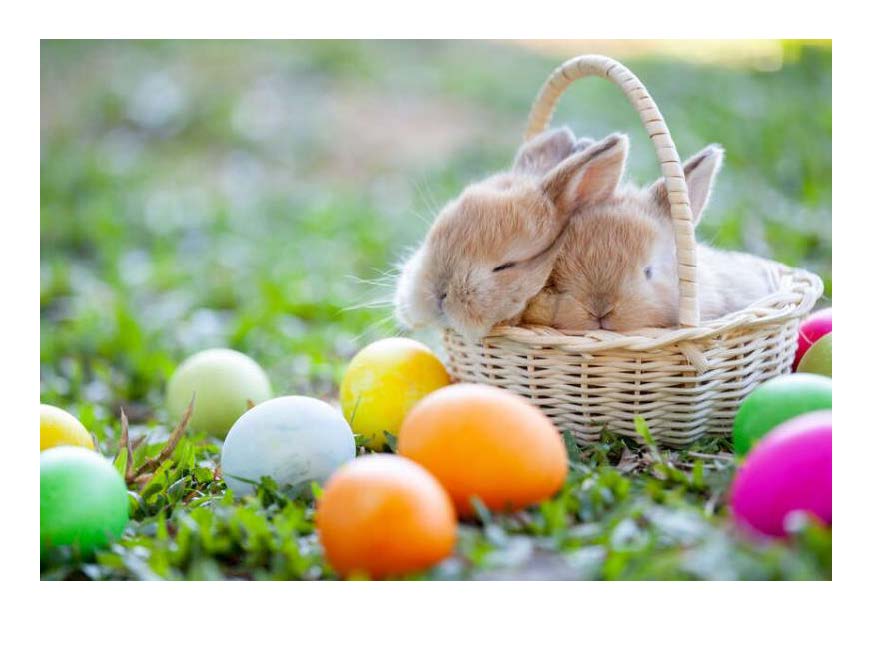 Easter picture